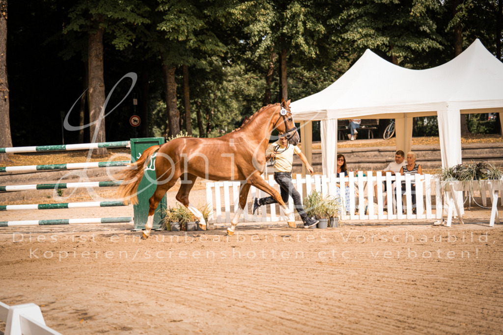 FrER00081 | Leoni Ertmer Photography - Realisiert mit Pictrs.com