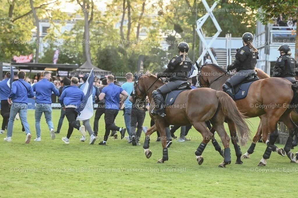 20230526_Pferdenacht_0445 | equistock