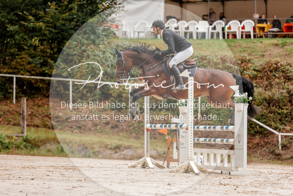 3I6A5703 | Stimmungsvolle Portraits und Reitsportfotografie im Ruhrgebiet und im Münsterland.

Pferdefotografie, Hundefotografie, Tierfotografie, Reportagen, Portraits von Tier und Mensch, Turnierfotografie in Bochum, Recklinghausen, Marl, Haltern am See, Dülmen.. - Realisiert mit Pictrs.com