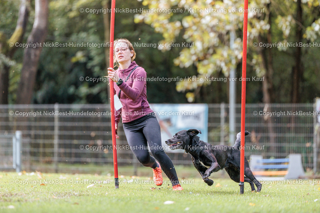 THS-HSV-Blumenthal-2026-Nickbest-Hundefotografie-2763 | Dein Hund! Dein Moment! Deine Erinnerungen! Hundefotografie in Bremen Blumenthal. Ich fange die besonderen Momente deines Vierbeiners ein – ob Indoor mit Blitzanlage oder in der freien Natur. Sicher dir dein Moment und dein Termin für eure Erinnerungen.