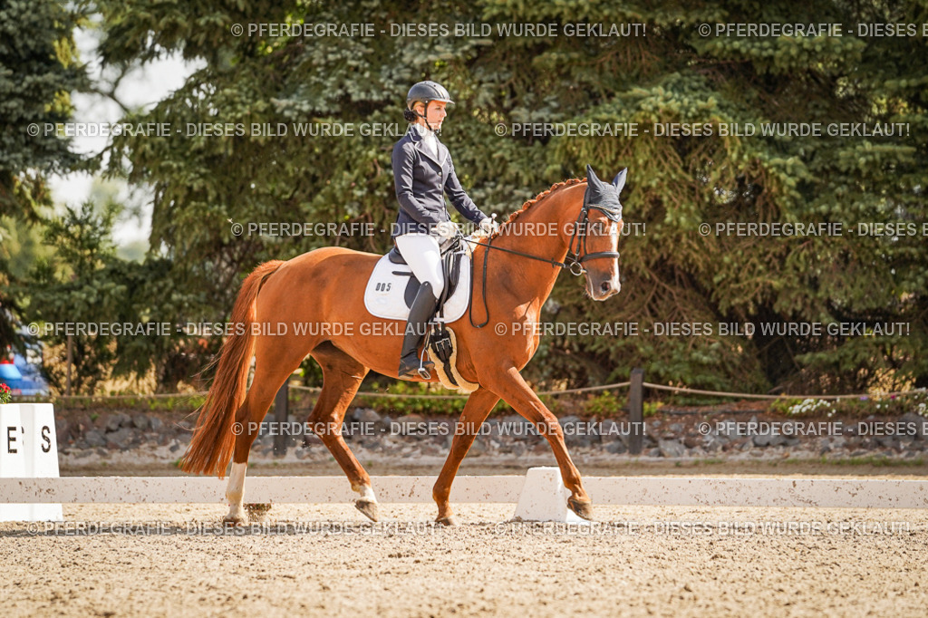 DSC01070 | Pferdegrafie