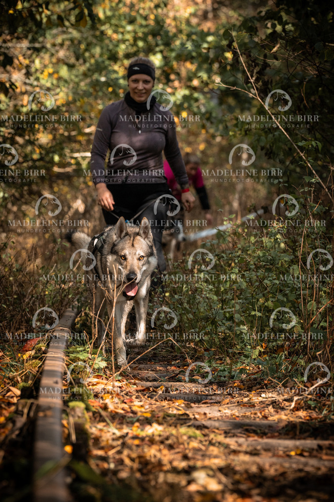 madeleinebirr.fotografie.2026.cc.hunsrueck.12-13Uhr.71 | hundefotografie-birr