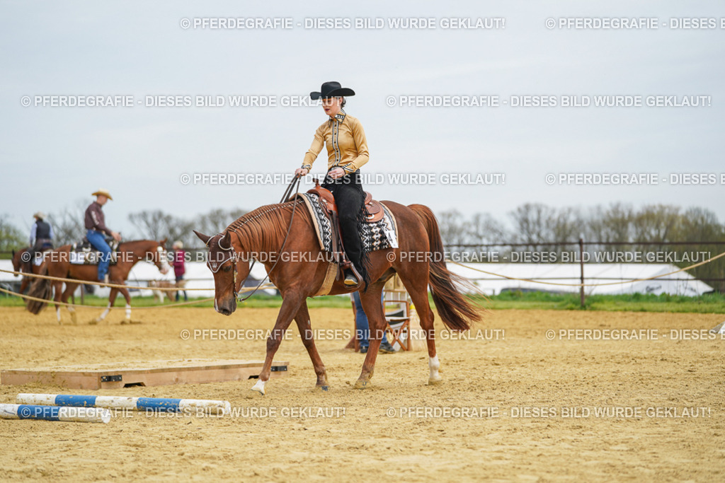 DSC03343 | Pferdegrafie