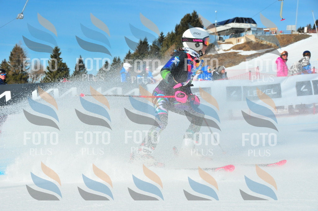 DSC_3781 | holidayphoto