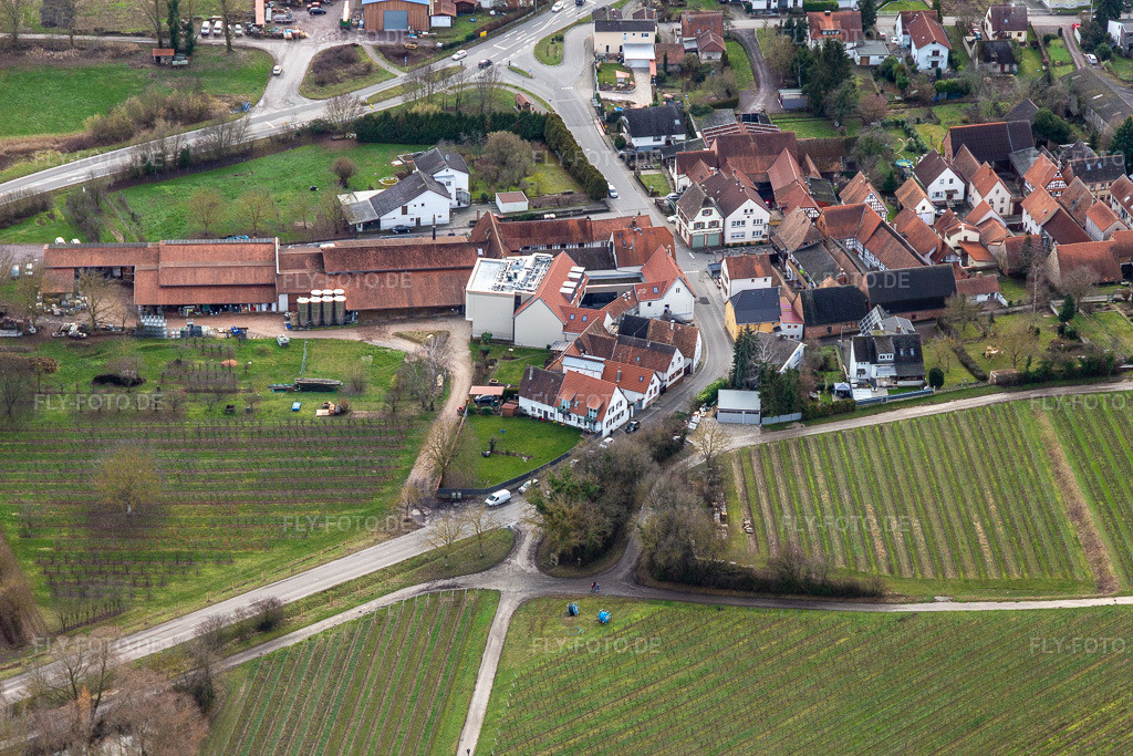 Luftbild: Weingut Fritz Walter in Niederhorbach im Bundesland Rheinland-Pfalz in Deutschland. Foto: IMG_124162.jpg vom 04.02.2021 durch Werner Riehm/FLY-FOTO.de