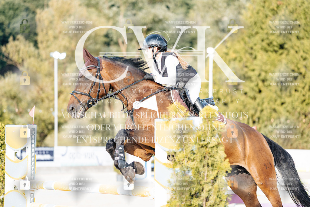 CK900707 | Turnierfotografie Pferdefotografie Trier Rheinland-Pfalz Pferdesport Reitsport Tierfotografie Sportfotografie Pferdevideo Pferdevideografie Equestrianvideography equestrianphotography  - Realisiert mit Pictrs.com