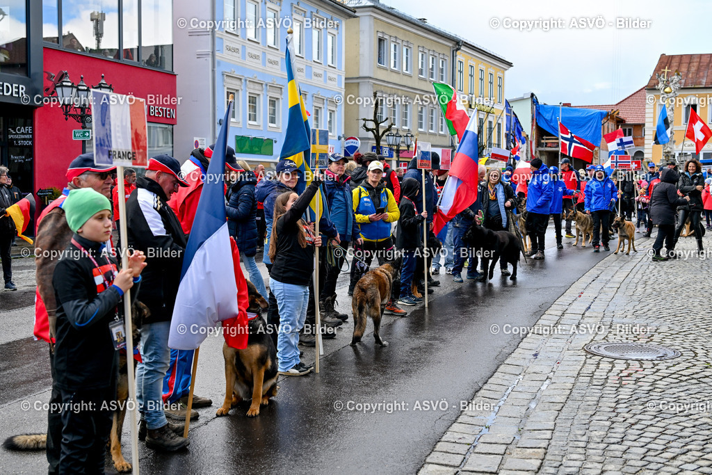 ASVÖ_ Tracking Dog World Championship 2025_ 31.03.2025-224 | 31.03.2025, AUT, ASVÖ, Tracking Dog World Championship // FCI IGP Fährtenhundeweltmeisterschaft 2025©fodo.media / Harald Dostal - Realisiert mit Pictrs.com