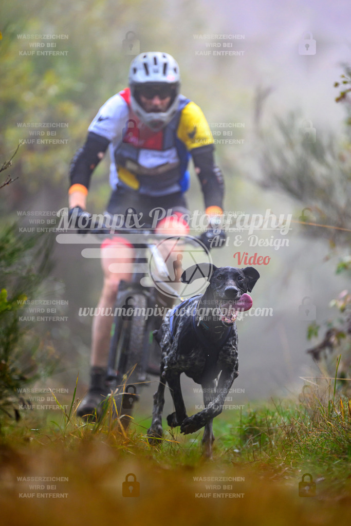 MompixPhotography_20TSB_E4_Bike-61 | PayLife