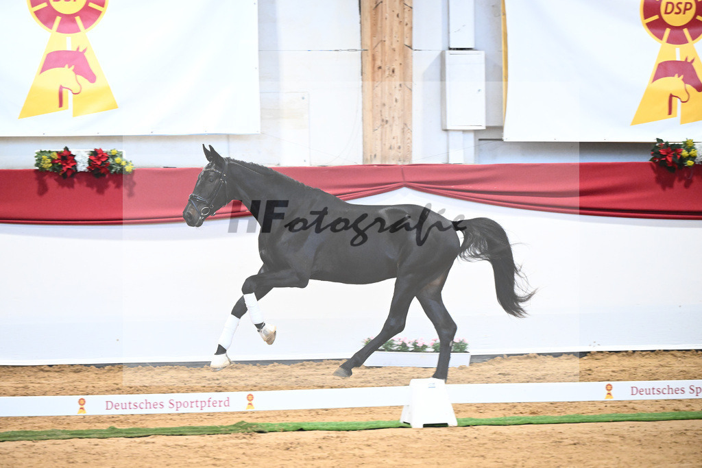 Kat-Nr. 50 Swarovski x Fuerst Wilhelm_Zellhuber_43231857 | hf-fotografie - Realisiert mit Pictrs.com