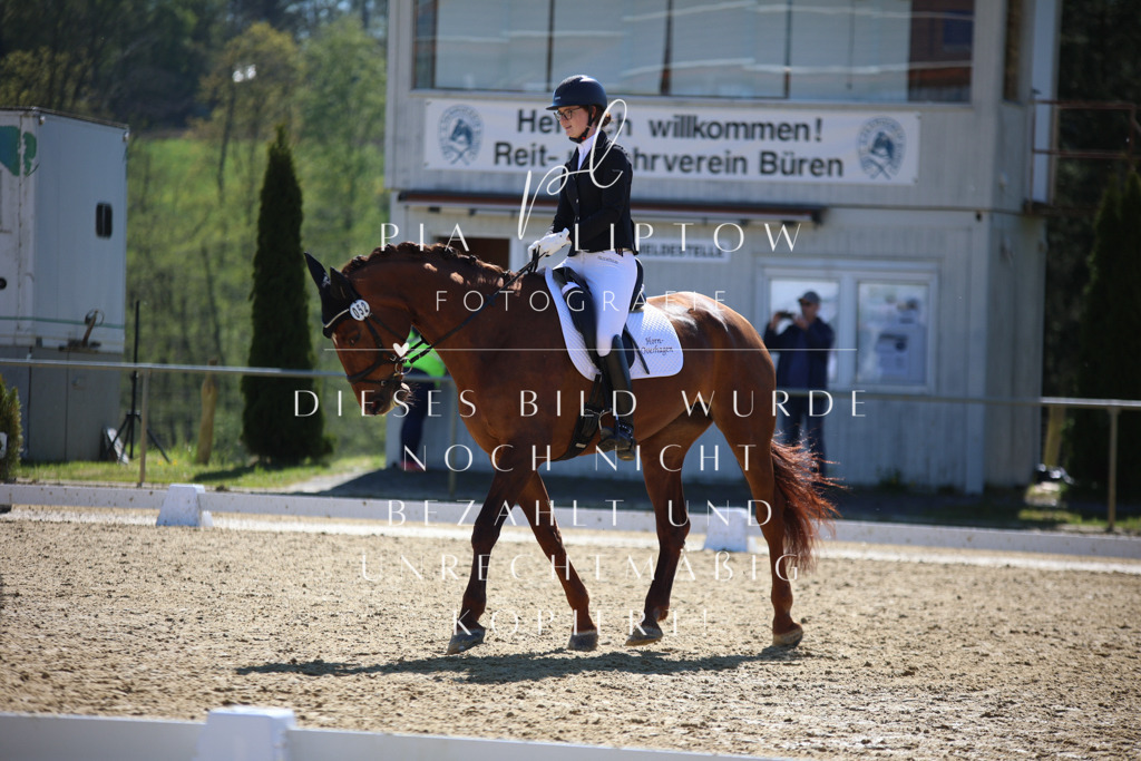 IMGT0700 | pl-fotografie