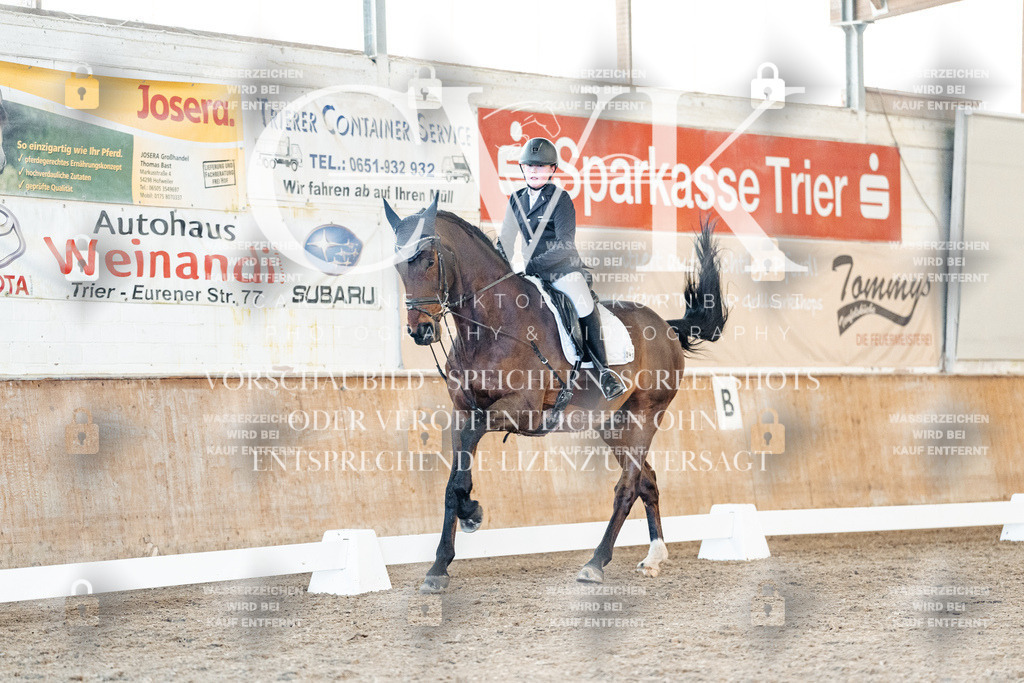 CK907312 | Turnierfotografie Pferdefotografie Trier Rheinland-Pfalz Pferdesport Reitsport Tierfotografie Sportfotografie Pferdevideo Pferdevideografie Equestrianvideography equestrianphotography  - Realisiert mit Pictrs.com