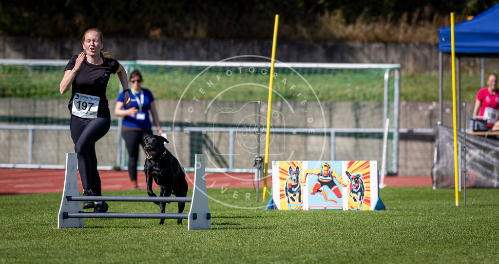 Pfotenfotografie_DV3A0815 | Hundefotografie, Tierfotograf, Pfotenfotografie, Fotoshooting Hund, Hunde Portrait, Hundesport, Hundeportraits, Heideshooting, Hunde, Sportfotograf, Hundefotograf, Turnierhundsport, THS,  - Realisiert mit Pictrs.com