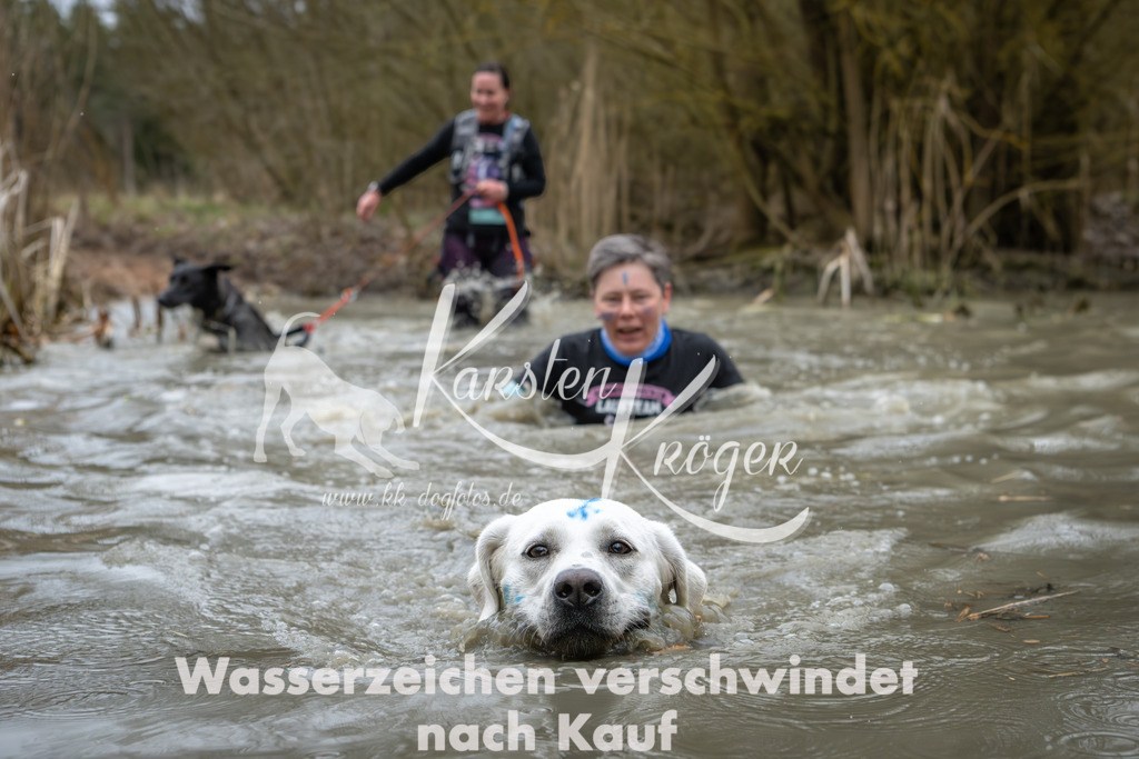 1344_ZZ92173 | kk-dogfotos