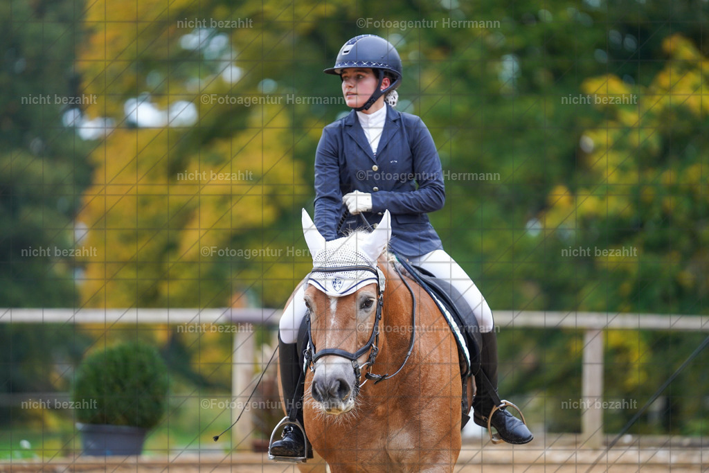 20221008-FAH00920 | Diessen am Ammersee, 2022, Dressur- und Springturnier, Reitsportbilder, Turnierfotografen Bayern, Pferdefotografen, Fotoagentur Herrmann, Turnierbilder
