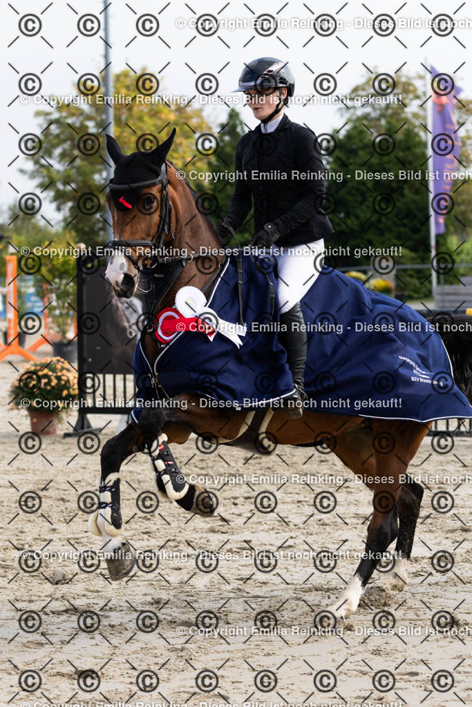 CL5A5138 | Emilia Reinking Fotografie - Realisiert mit Pictrs.com