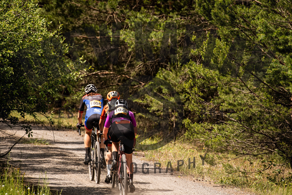 DKP-4836 | Drew Kaplan Photography