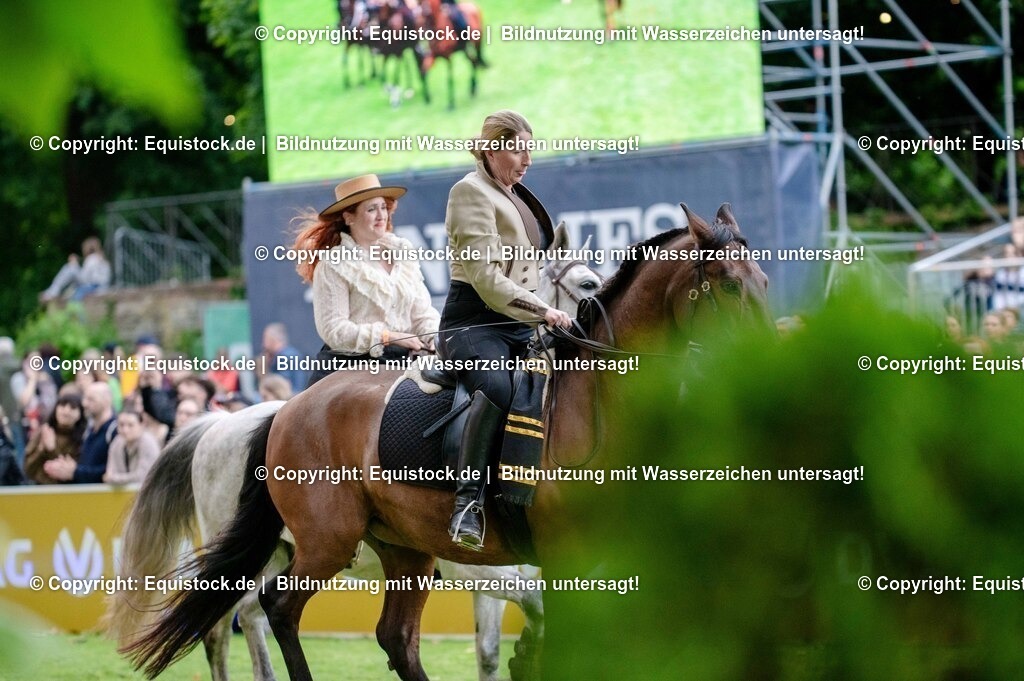 20250606_Lange-Pferdenacht_0573 | Foto: Thomas Hartig