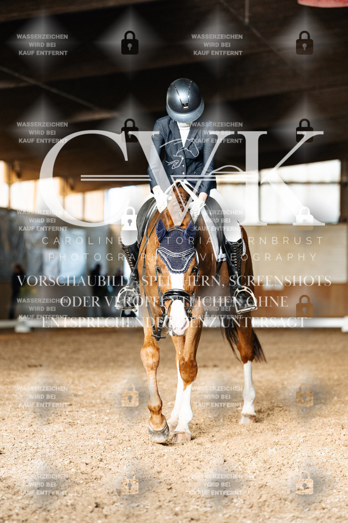 CK903305 | Turnierfotografie Pferdefotografie Trier Rheinland-Pfalz Pferdesport Reitsport Tierfotografie Sportfotografie Pferdevideo Pferdevideografie Equestrianvideography equestrianphotography  - Realisiert mit Pictrs.com