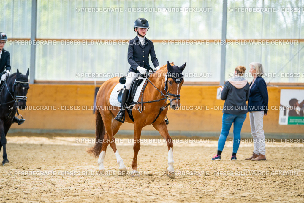 DSC01316 | Pferdegrafie