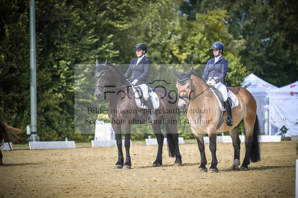 DOS_6528 | Entdecke hochwertige Reitturnierfotos von Foto Oger. Professionell, emotional und authentisch – jetzt Lieblingsmomente im Shop bestellen.Deutschlandweite Turnierfotografie. - Realisiert mit Pictrs.com