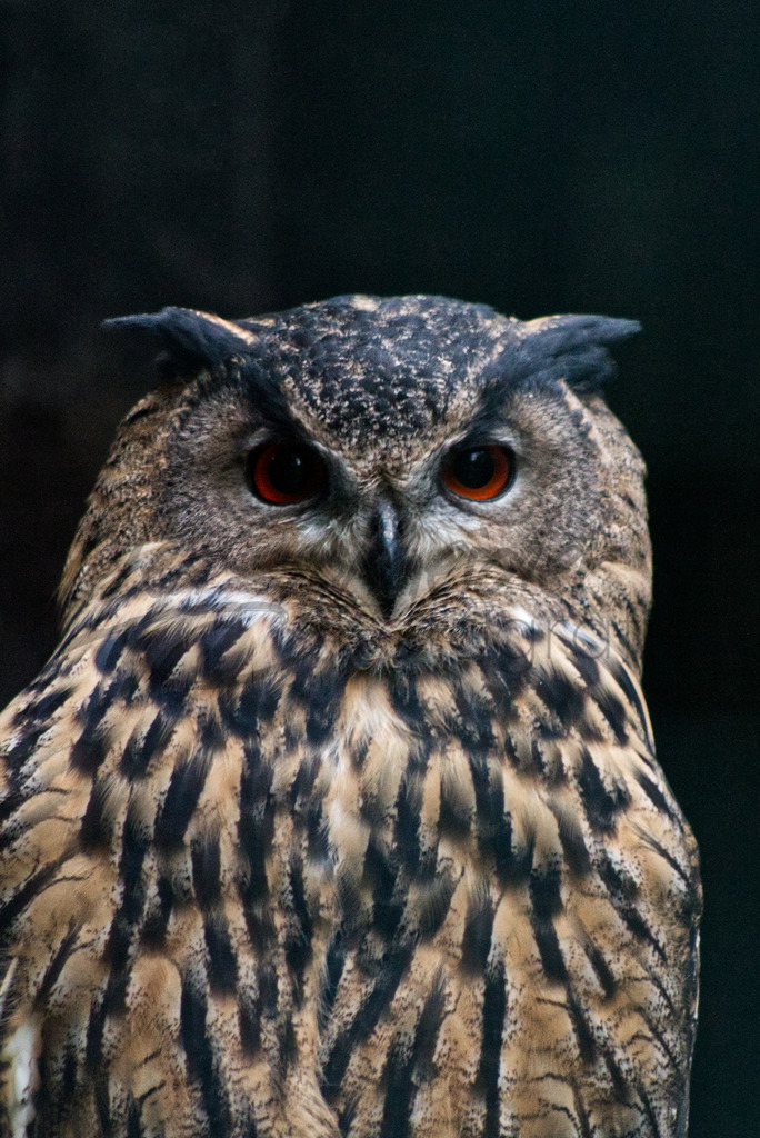 Postkarten 10 | Uhu i - Realisiert mit Pictrs.com