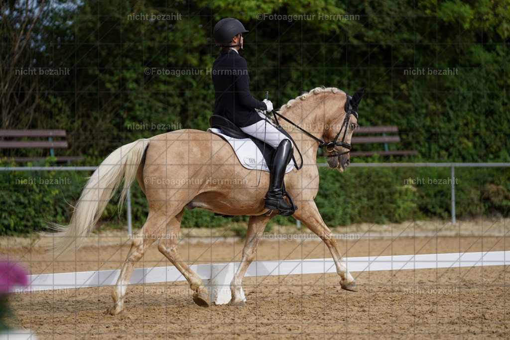 20240825-FAH00374 | Turnierbilder, Reitsportfotos, LAPO, Landesponyturnier, Turnierfotografen Bayern