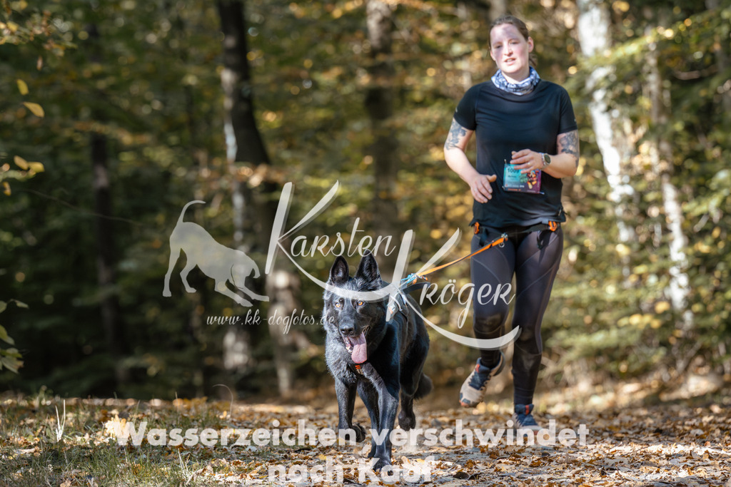 1244_ZZ95978 | kk-dogfotos