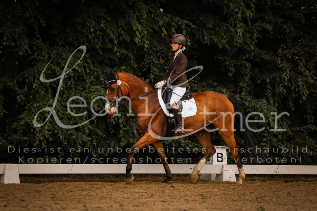 DoDrA00333 | Leoni Ertmer Photography - Realisiert mit Pictrs.com