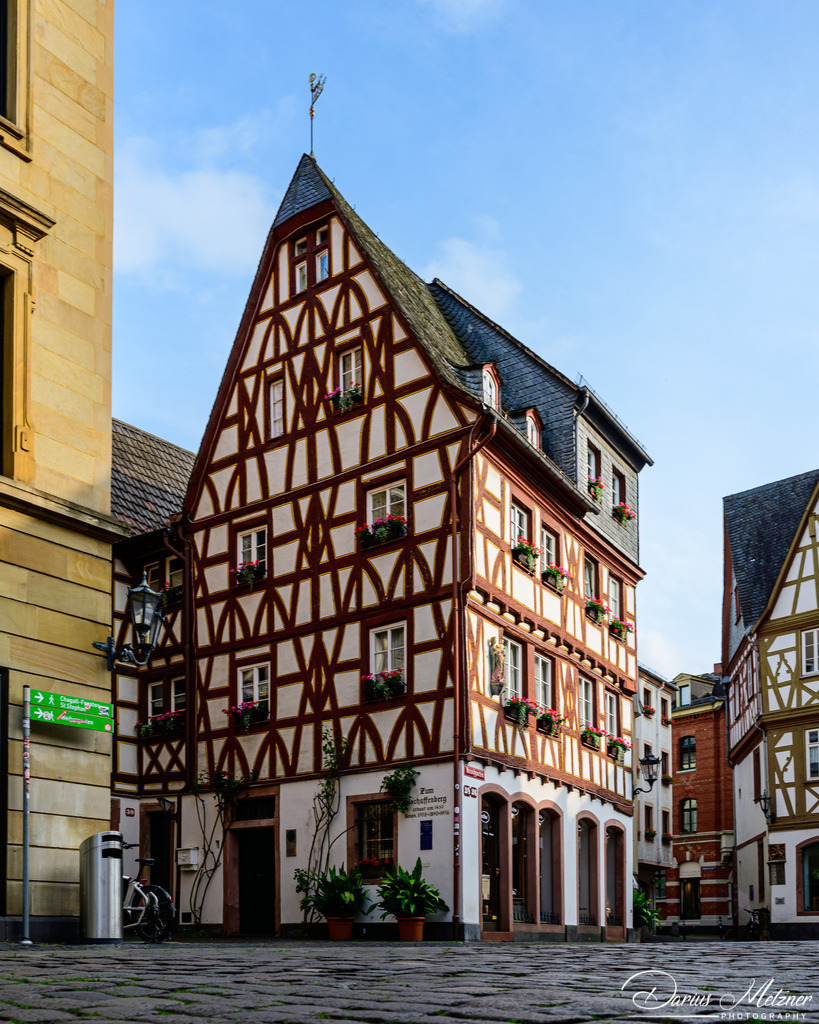 DSC_3377 2 | Fotografien, Fotos und Bilder aus Mainz, Frankfurt, Wiesbaden und anderen Orten auf der Welt - Fotografiert von Darius Metzner