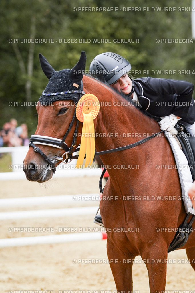 DSC06073 | Pferdegrafie