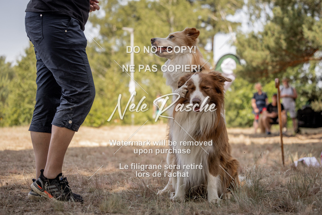 nelerasche_soDD2_171 | nelerasche