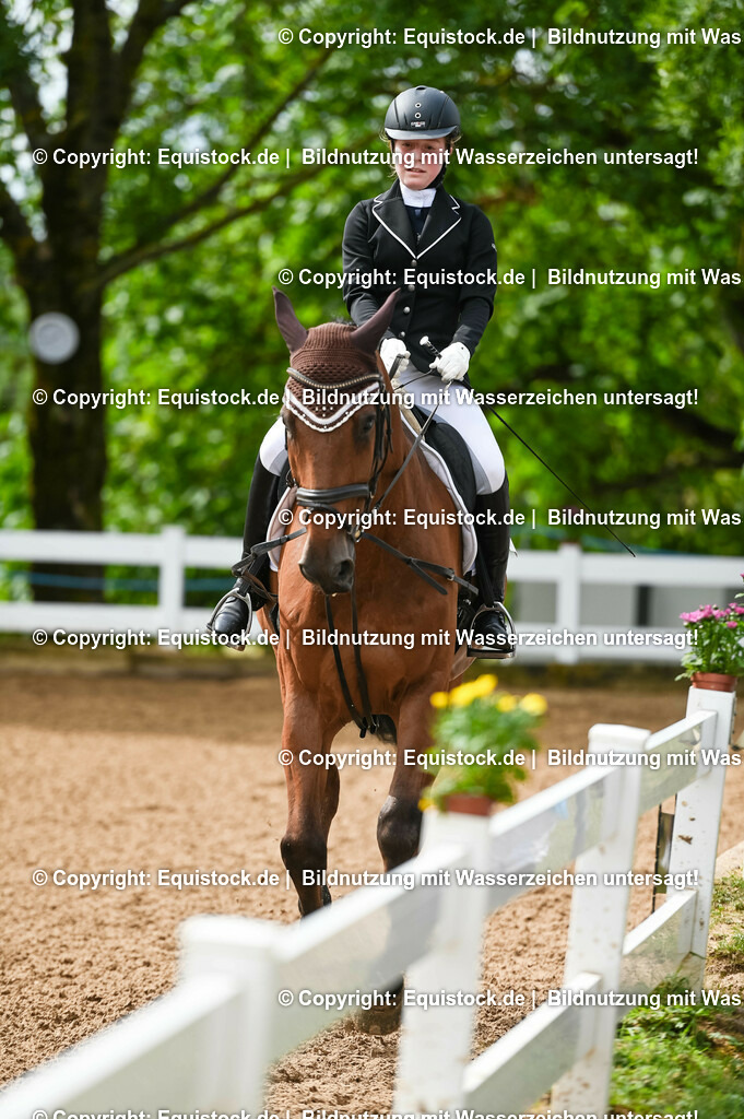 20230716_10-1_Reiter-WB Schritt - Trab - Galopp_0105 | equistock