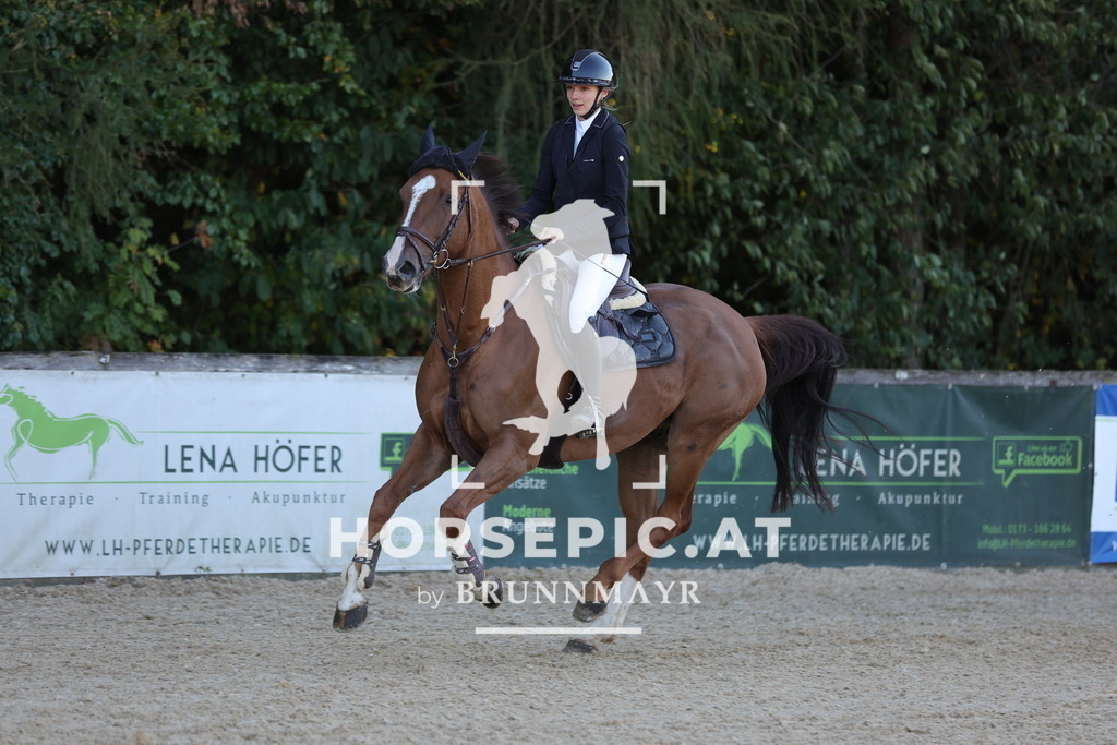 0P6A1642 | Willkommen bei Brunnmayr - Design & Fotografie – Ihrem Spezialisten für Reitturniere und Pferdeveranstaltungen in Oberösterreich, Salzburg und Bayern! Seit über 17 Jahren sind wir leidenschaftlich dabei.