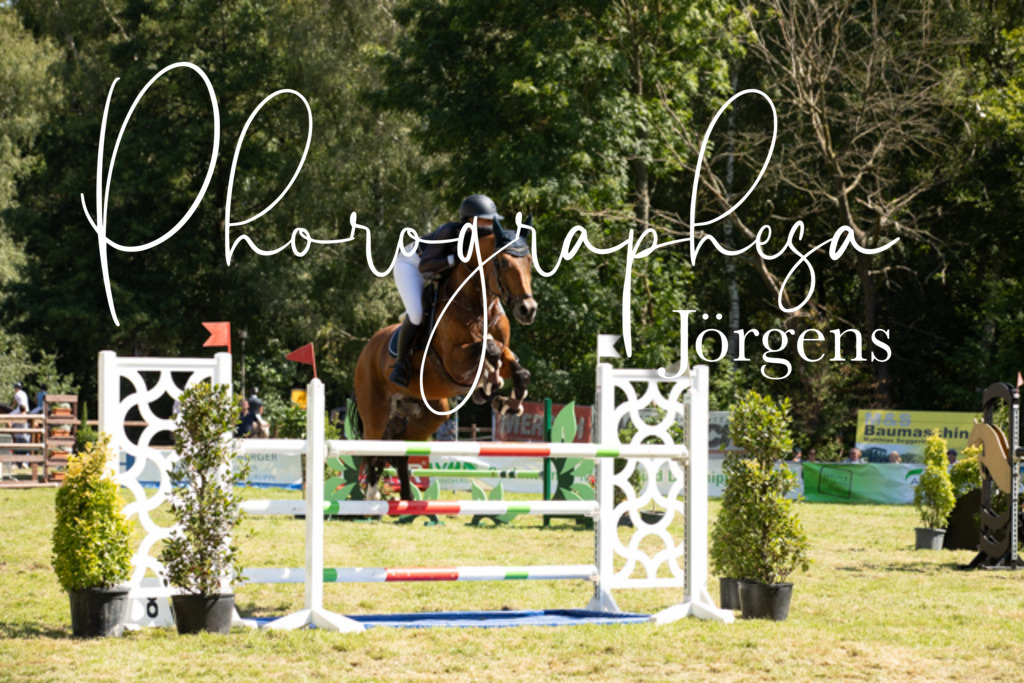 IMG_9105 | photographesa-joergens - Realisiert mit Pictrs.com