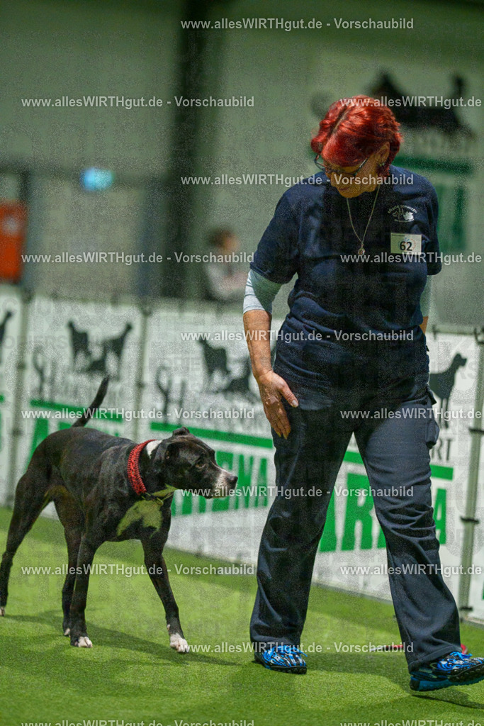 7R507352 | Professionelle Tierfotografie in Mönchengladbach von Daniel Wirth (allesWIRTHgut). Liebevolle & natürliche Bilder von Hunden & Katzen für unvergessliche Erinnerungen.