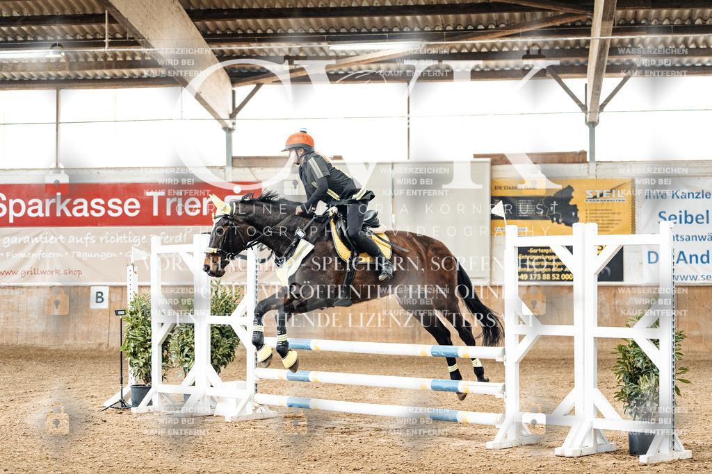 CK905381 | Turnierfotografie Pferdefotografie Trier Rheinland-Pfalz Pferdesport Reitsport Tierfotografie Sportfotografie Pferdevideo Pferdevideografie Equestrianvideography equestrianphotography  - Realized with Pictrs.com