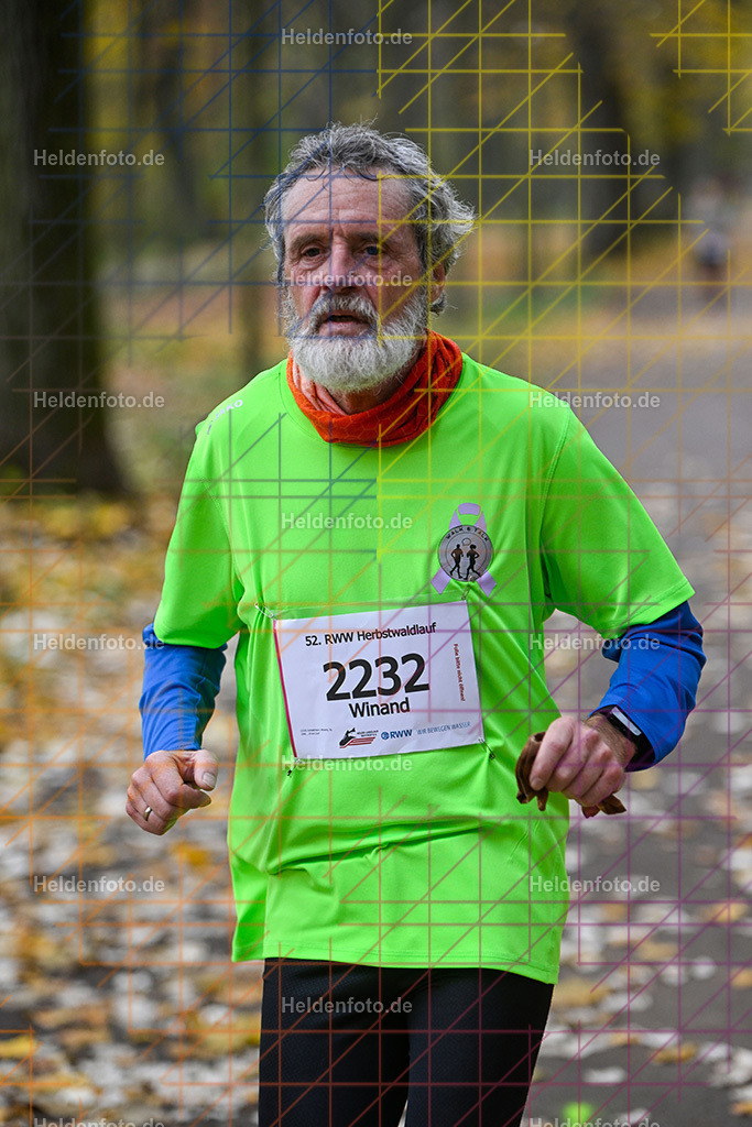 Bottroper Herbstwaldlauf 2025  | Bottroper Herbstwaldlauf 2025 