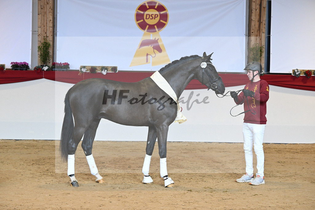 Kat-Nr. 68 Secret_Reich_1232066 | hf-fotografie - Realisiert mit Pictrs.com