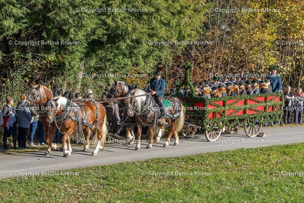 LBT25-142 | foto-bettina-krinner - Realisiert mit Pictrs.com