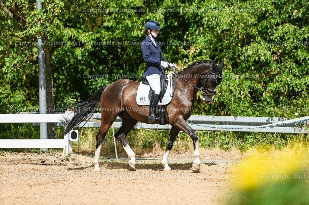 20230715_02_Dressurreiterprüfung Kl.L_0298 | equistock