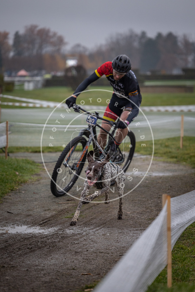 CaniXpix_0L8A1178 | Hundefotografie, Tierfotograf, Pfotenfotografie, Fotoshooting Hund, Hunde Portrait, Hundesport, Hundeportraits, Heideshooting, Hunde, Sportfotograf, Hundefotograf, Turnierhundsport, THS,  - Realisiert mit Pictrs.com
