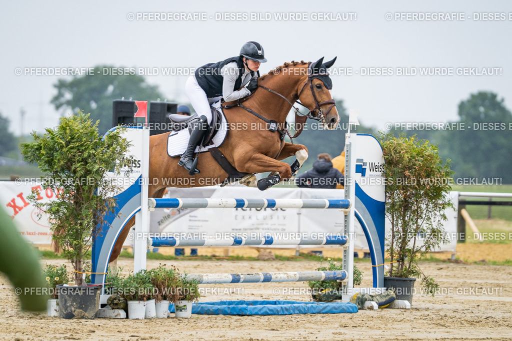 DSC02067 | Pferdegrafie