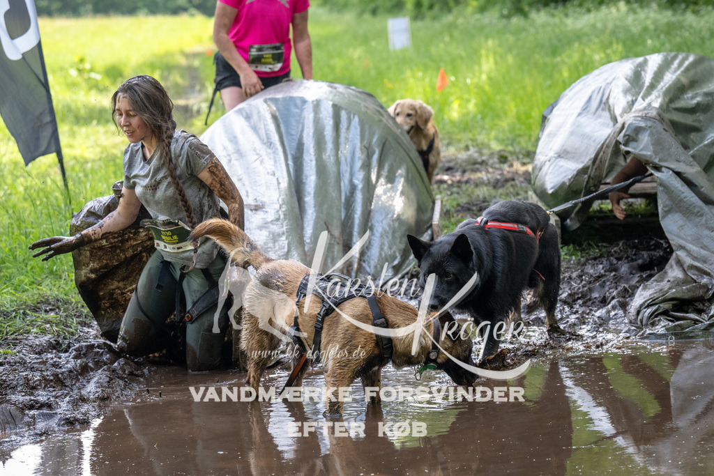 1230_ZZ92562 | kk-dogfotos