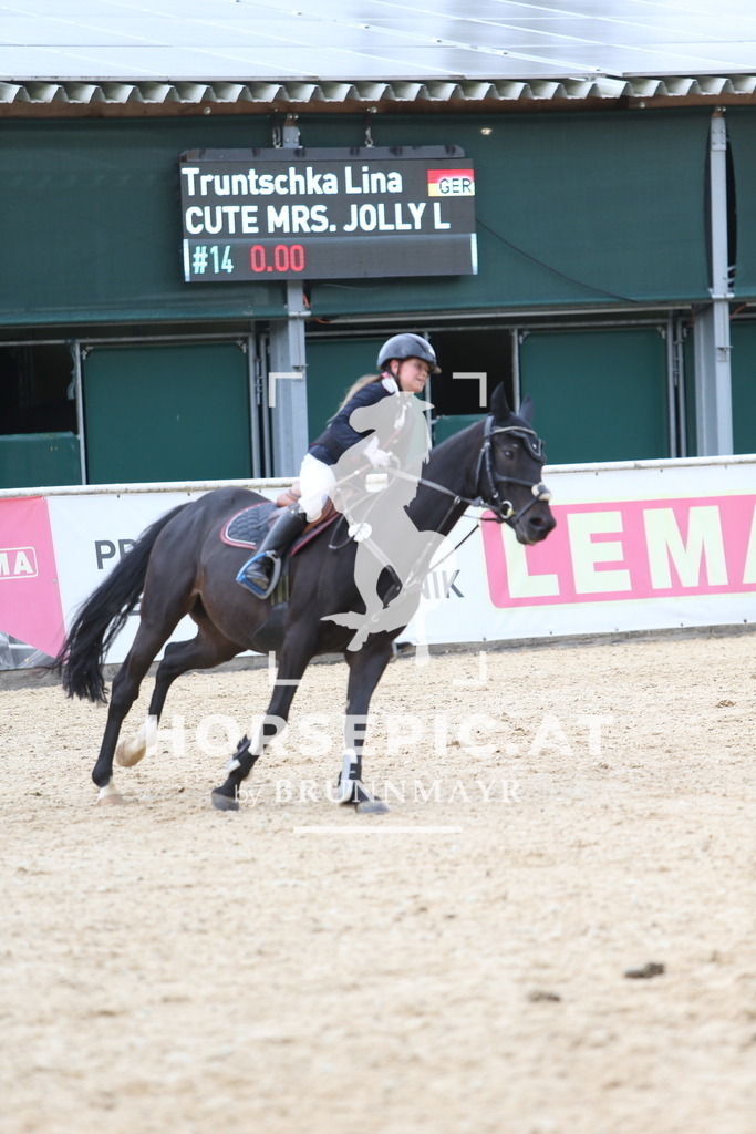 DL2Q2713 | Willkommen bei Brunnmayr - Design & Fotografie – Ihrem Spezialisten für Reitturniere und Pferdeveranstaltungen in Oberösterreich, Salzburg und Bayern! Seit über 17 Jahren sind wir leidenschaftlich dabei.