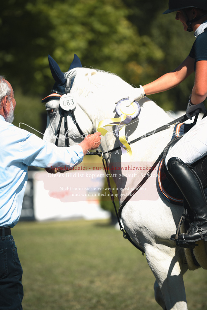 DSC_7313 | Pferde- und Turnierfotografie in Westsachsen. Pferdeportraits, Auftragszeichnungen und intuitive Kunst.
