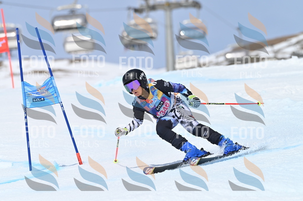 BGV_3568 | holidayphoto