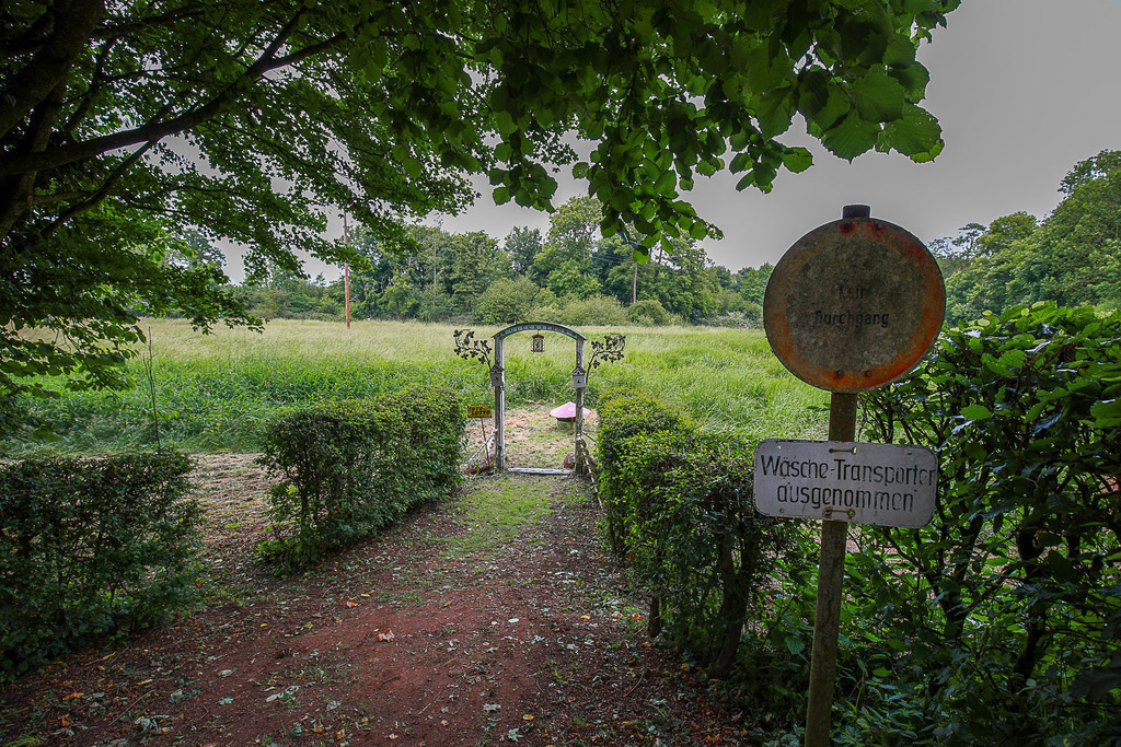 VillerMuehle_09062025_064 | Bildergalerie von Sport-Ereignissen aber auch von weiteren spannenden Dingen - nicht nur vom Niederrhein. In Anlehnung an den bekannten Spruch von Hanns Dieter Hüsch heißt das Motto: "Niederrhein ist überall".  - Realisiert mit Pictrs.com