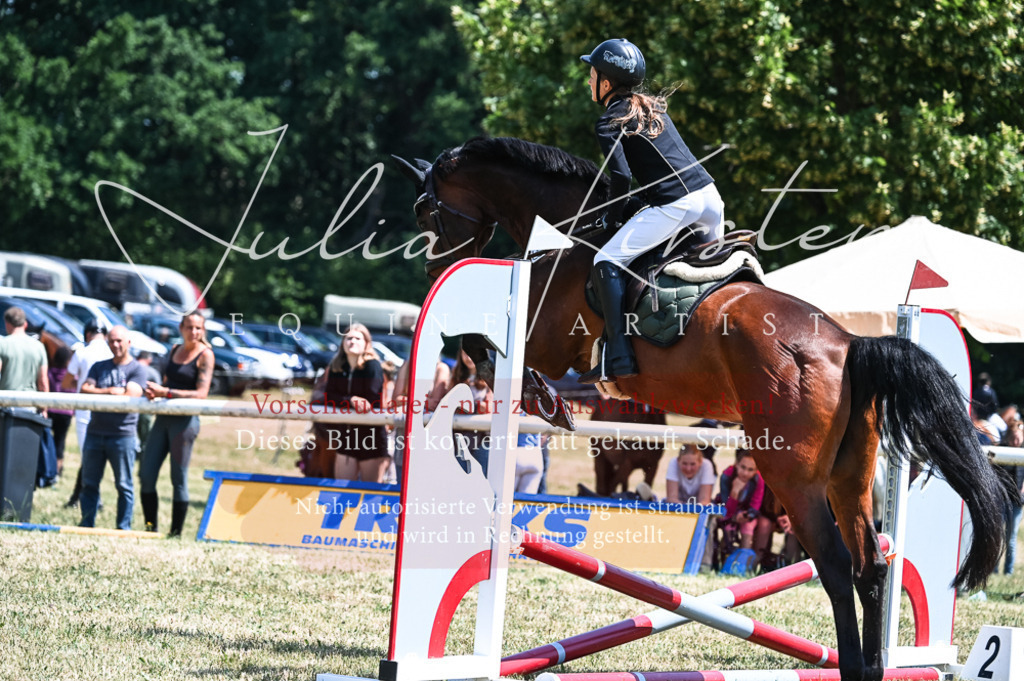 DSC_9860 | Pferde- und Turnierfotografie in Westsachsen. Pferdeportraits, Auftragszeichnungen und intuitive Kunst.
