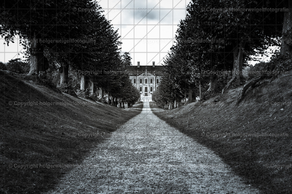 Festonallee III | Kaufen sie online außergewöhnliche Fotografien auf Leinwand Acrylglas Fotoprint Aludibond von holgerweigeltfotografie - Realisiert mit Pictrs.com