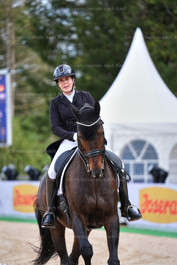 10-193-ST.GEORG SPECIAL -Marixx-3381 | working equitationturnier fotograf videograf stoibphotography marixx film working equitation deutschland reitsport turnierfotografie eventfotografie equestrian events